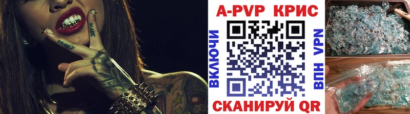 A PVP СК КРИС Новоузенск