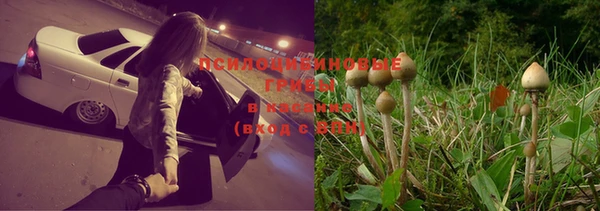 марки lsd Лабытнанги