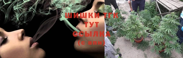 гидропоника Куйбышев