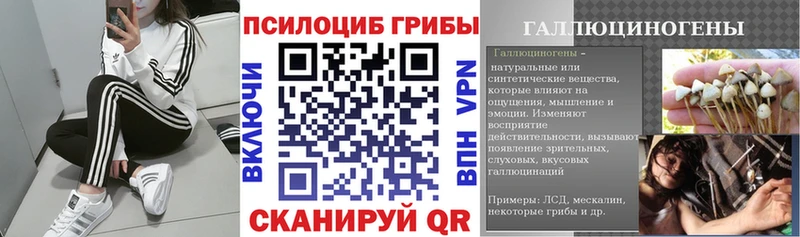 Галлюциногенные грибы мицелий  где найти   мориарти какой сайт  Новоузенск 